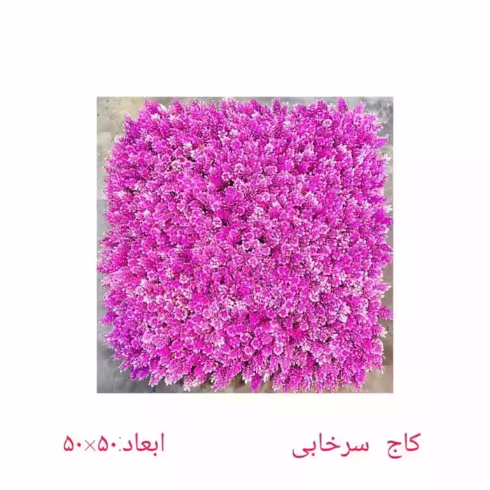 گرین وال (دیوار سبز) کاج سرخابی پرتراکم 50در50 cm (پس کرایه)