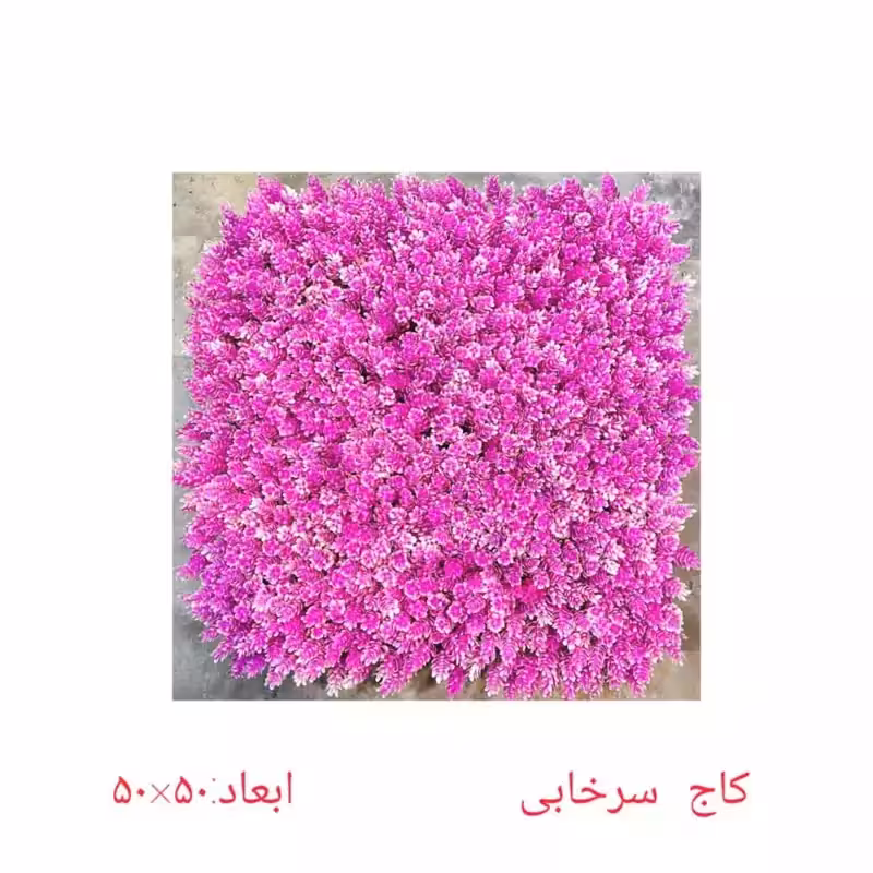 گرین وال (دیوار سبز) کاج سرخابی پرتراکم 50در50 cm (پس کرایه)