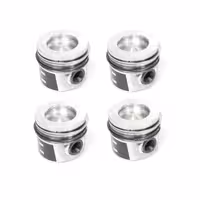 پیستون بی ام و X3 F25