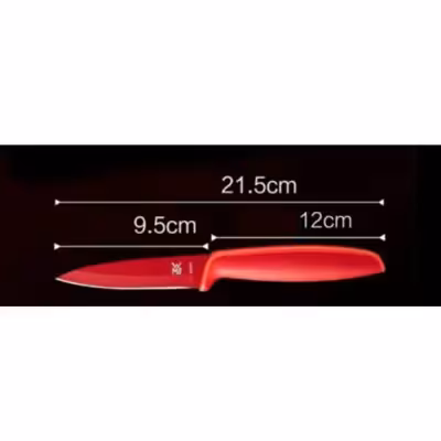 چاقو دبلیو ام اف مدل EE