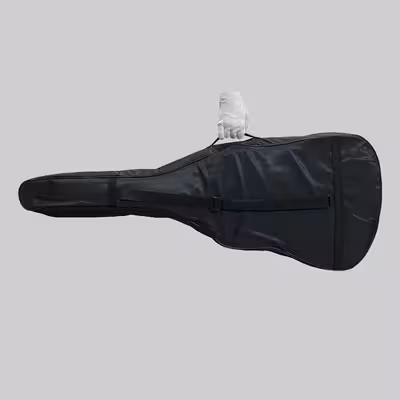 گیتار مدل C70