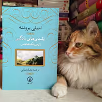بلندی های بادگیر ، امیلی برونته (جلد نرم)