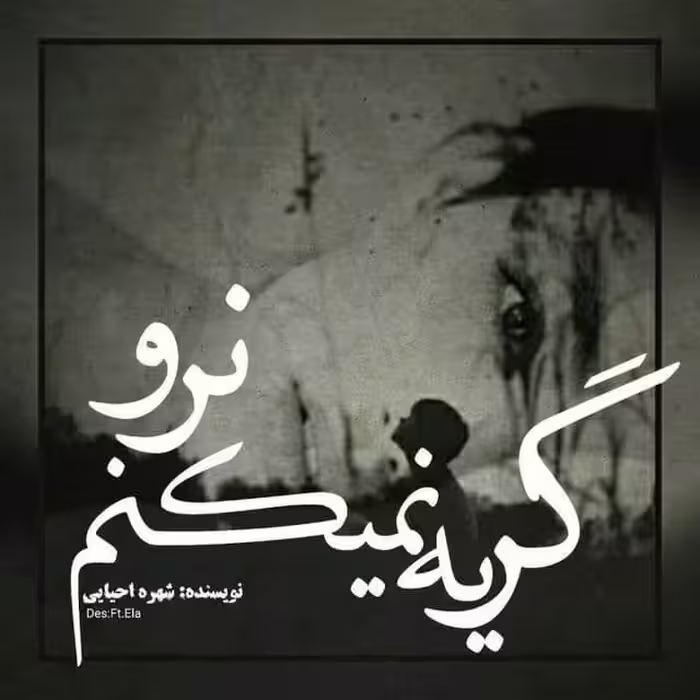 رمان گریه نمیکنم نرو pdf