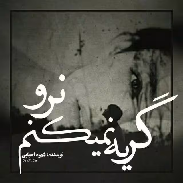 رمان گریه نمیکنم نرو pdf