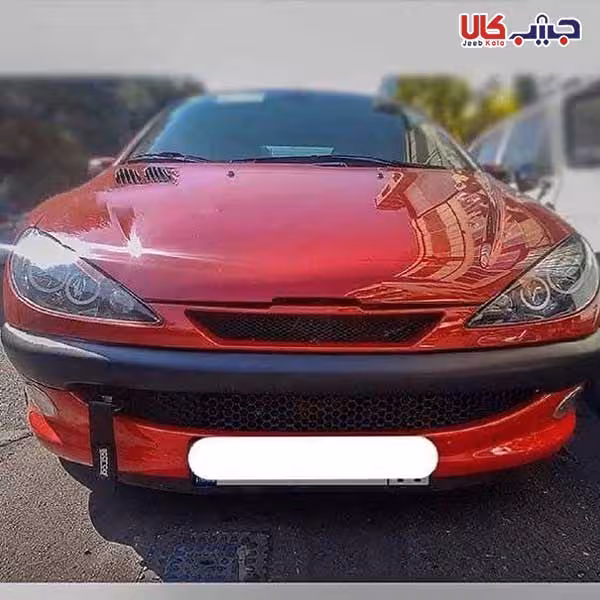 جلو پنجره پژو 206