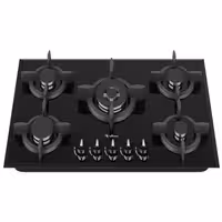 گاز صفحه ای مدل DG 544 داتیس