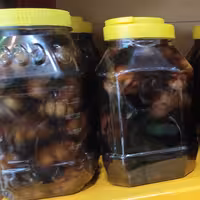 سیرترشی قدیمی طبیعی بالای ده ساله