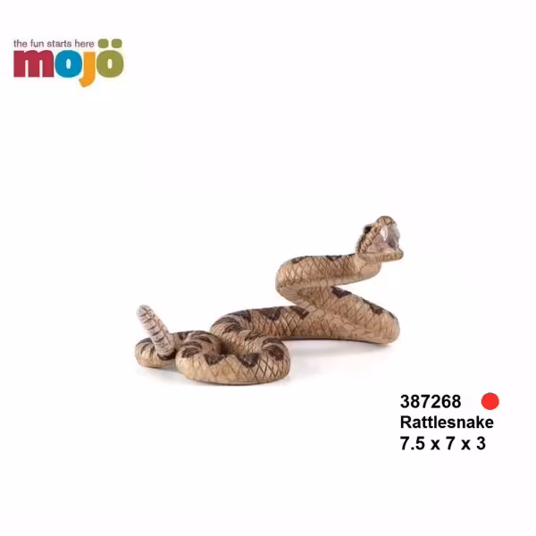 حیوانات موجو مار زنگی (قرمز)
