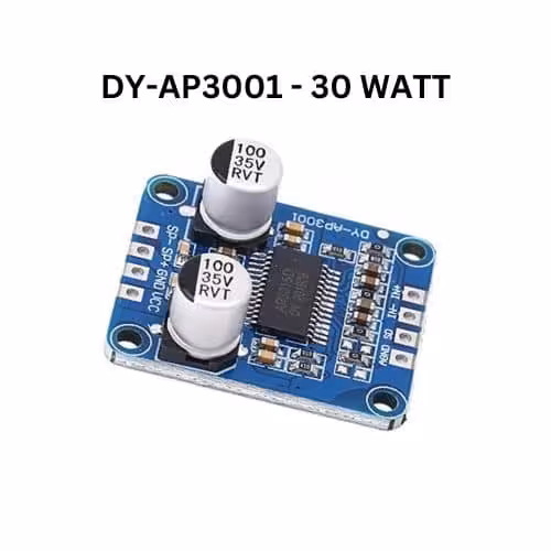 ماژول آمپلی فایر DY-AP3001 مونو با توان 30 وات