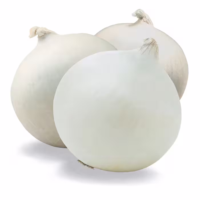 بذر پیاز سفید خانگی