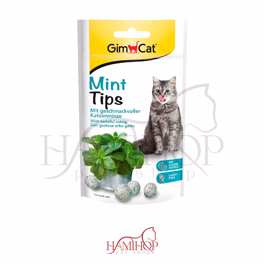 اسنک توپی گربه جیم کت GimCat با طعم نعنا وزن 50 گرم