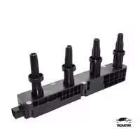 کوئل رانا – شرکتی