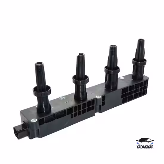 کوئل رانا – شرکتی