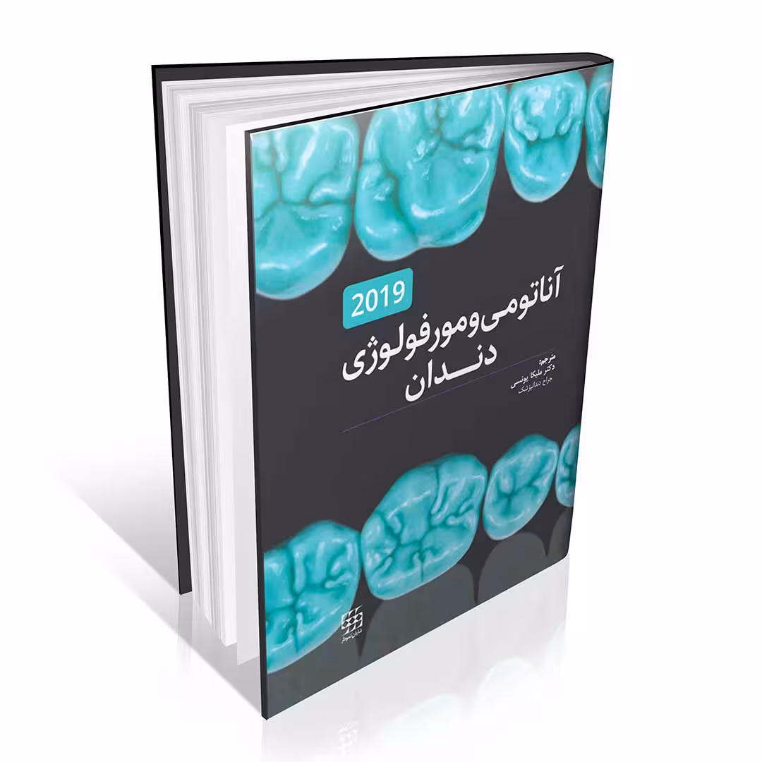 آناتومی و مورفولوژی دندان هیلتون