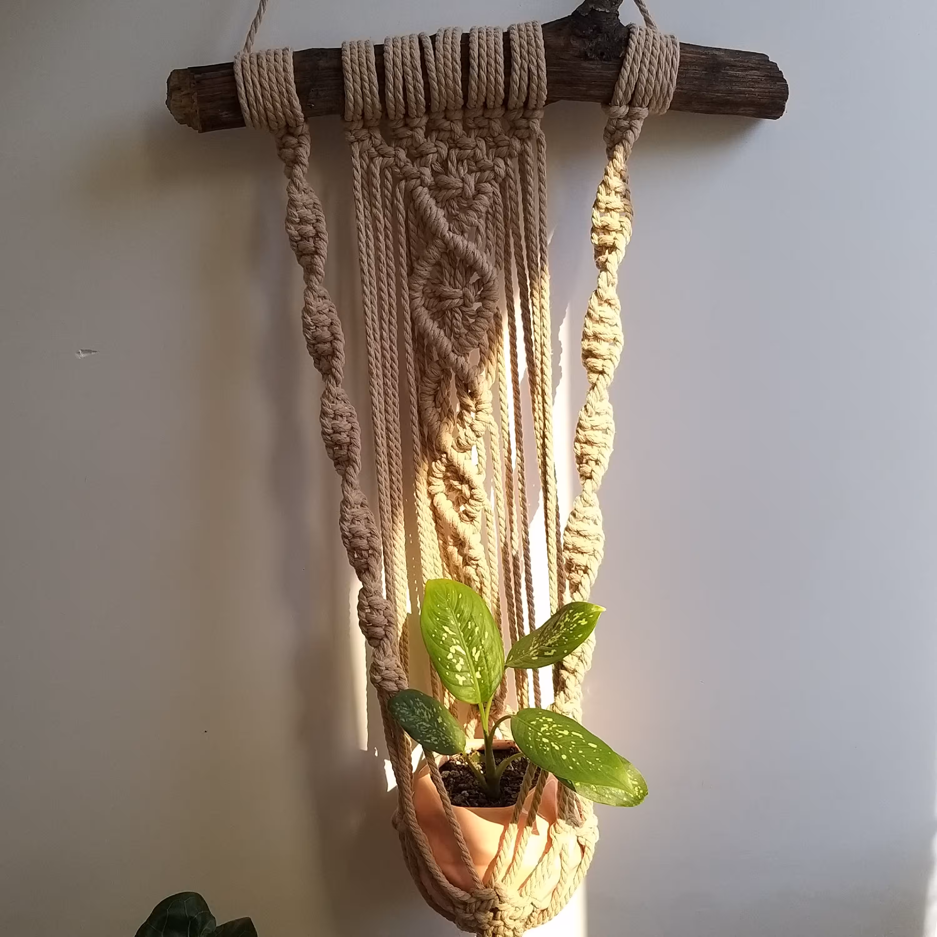 آویز گلدان مکرومه. سایز 40 در 80.  استفاده شده از نخ مکرومه اعلا. قابل استفاده برای هر سایز گلدان
