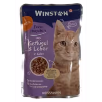 پوچ گربه وینستون مرغ و جگر در ژله