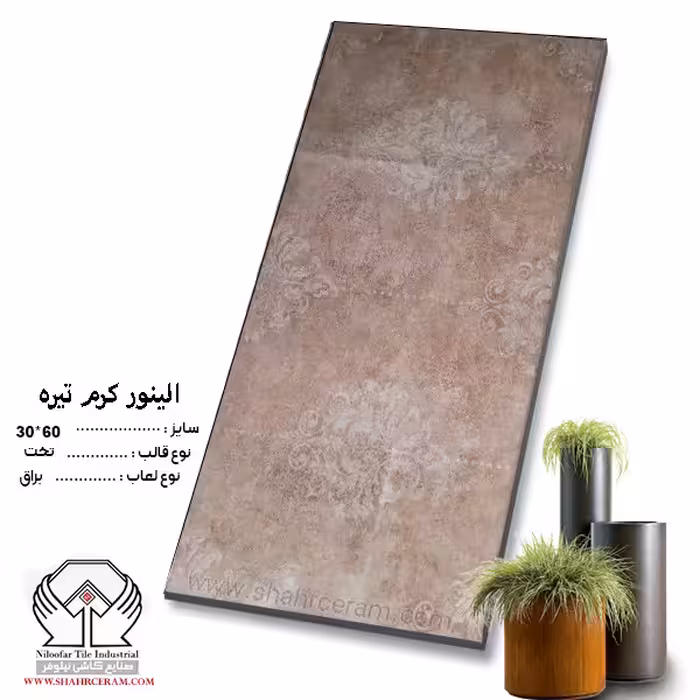 کاشی الینور کرم تیره 60*30 کاشی نیلوفر