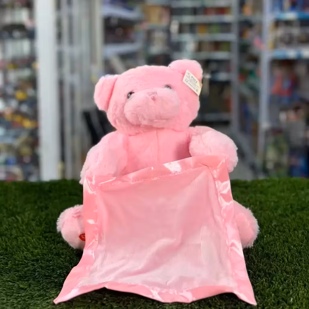 عروسک خرس دالی موزیکال سخنگو 30 سانتی