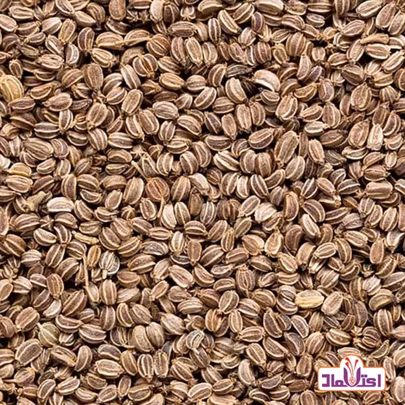 تخم کرفس50 گرمی اعتماد درجه یک و اعلا | amazonchi