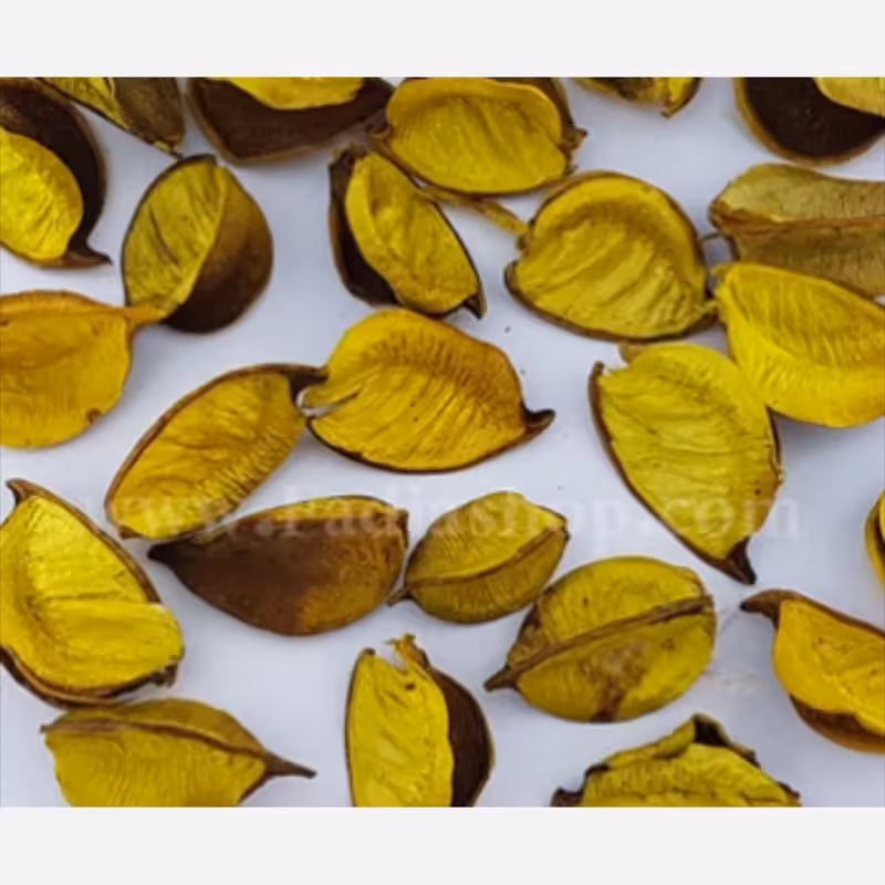 گل خشک زرد جهت تزیین شمع وزن 100  گرم | amazonchi