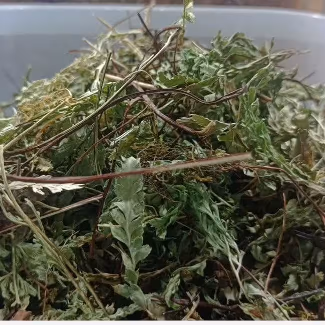 گیاه پرسیاوشان درجه یک 50 گرمی 