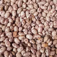 لوبیا‌ چیتی