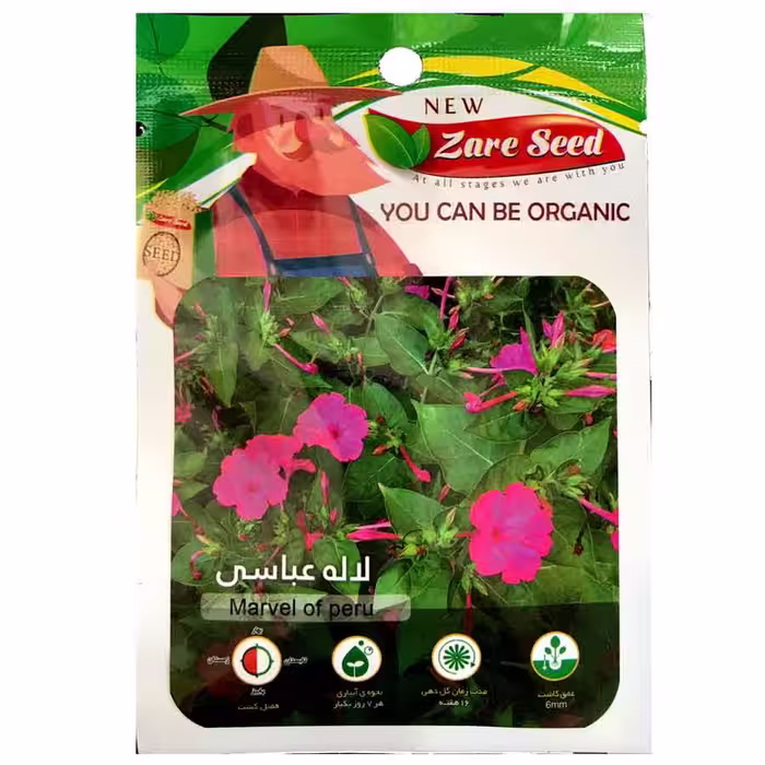 بذر گل لاله عباسی