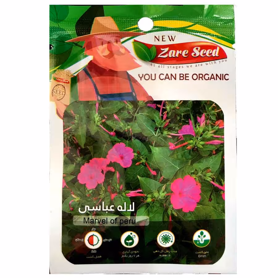 بذر گل لاله عباسی