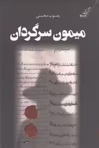 میمون سرگردان / نویسنده: یعسوب محسنی / انتشارات کوله‌پشتی