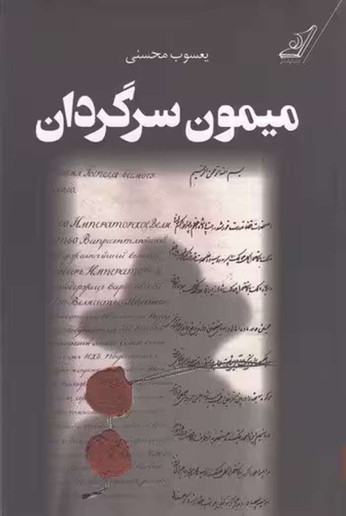 میمون سرگردان / نویسنده: یعسوب محسنی / انتشارات کوله‌پشتی
