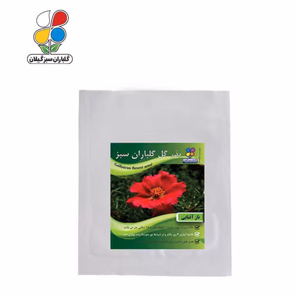 بذر گل ناز آفتابی بسته بندی بزرگ ( بسته 24 عددی )