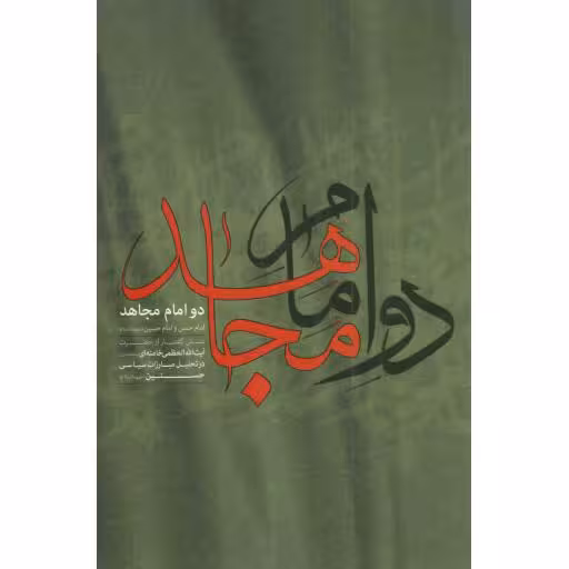 دو امام مجاهد - (شش گفتار از آیت الله خامنه ای در تحلیل مبارزات سیاسی حسنین