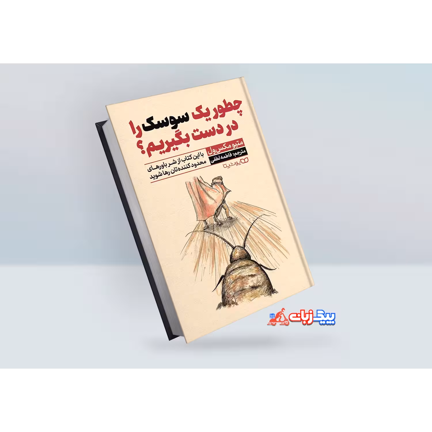 کتاب چگونه یک سوسک را دست بگیریم؟ اثر متیو مکس ول