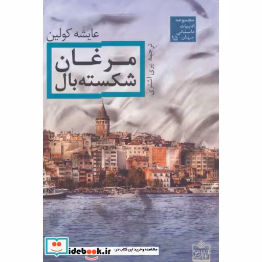 کتاب مرغان شکسته بال