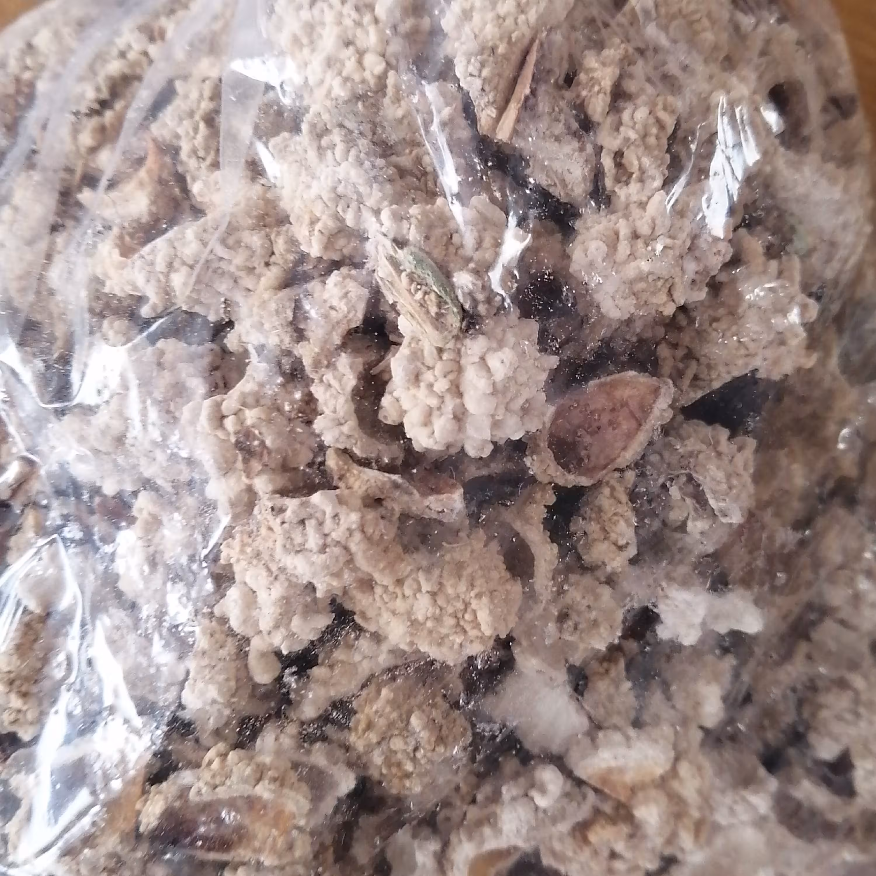 شکر تیغار 75 گرم