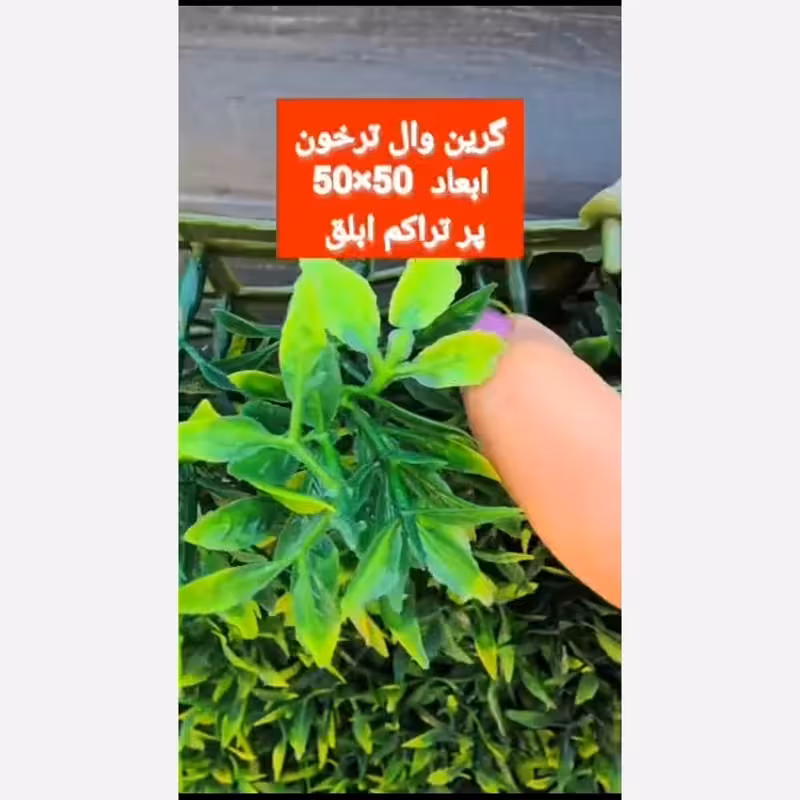 گرین وال ترخون پرتراکم ابلق ابعاد 50در50 cm (دیوار سبز/گرینوال)(پس کرایه)