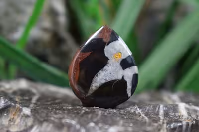 سپتارین مراکش اصل و طبیعی