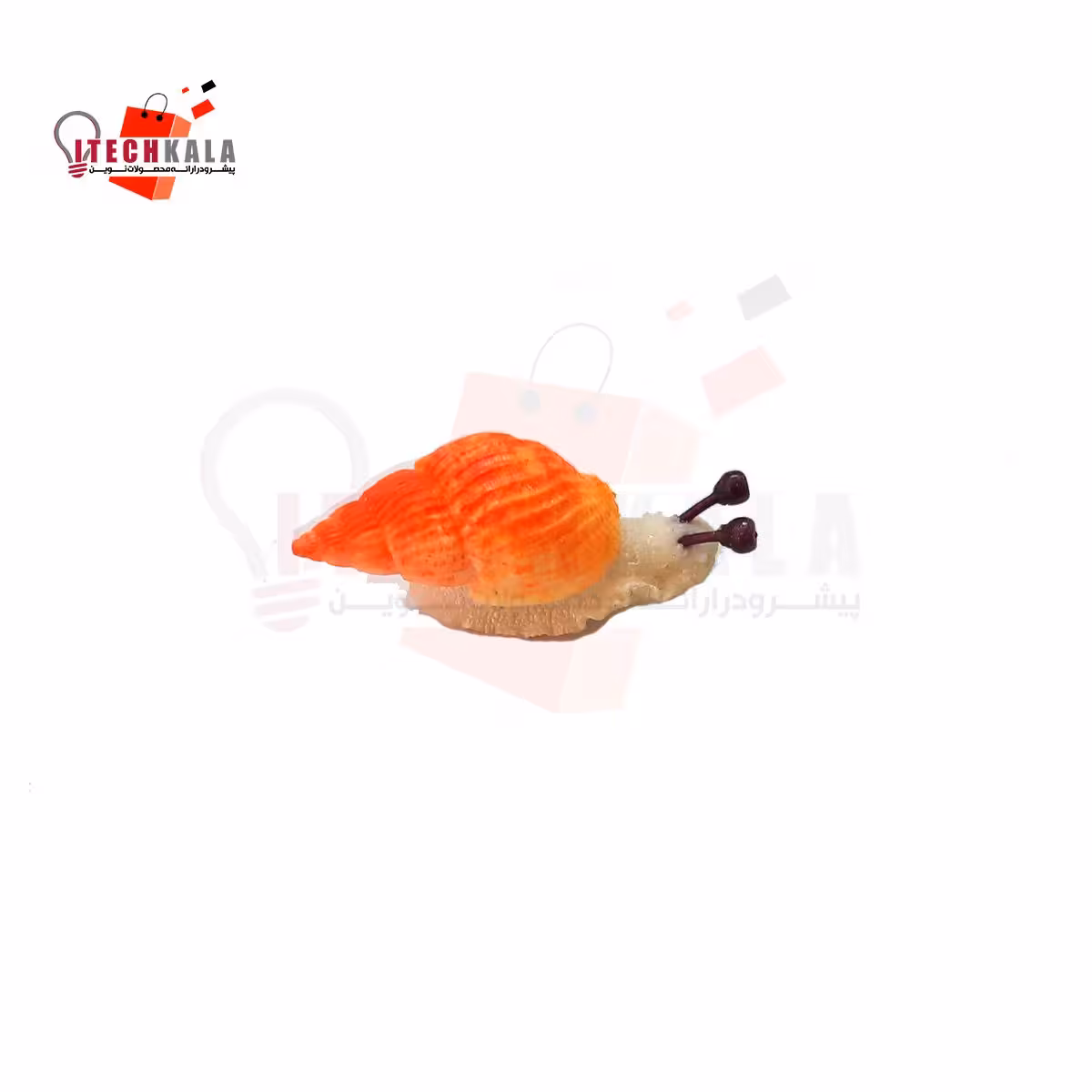 حلزون 2 سانتی