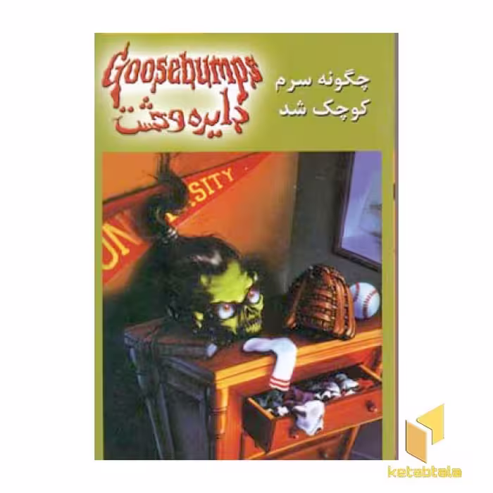 کتاب دایره وحشت (19) چگونه سرم کوچک شد اثر آر ال استاین نشر ویدا