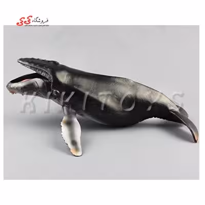 فیگور حیوانات وال figure of whale