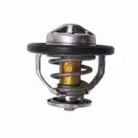 ترموستات کیا کارنز