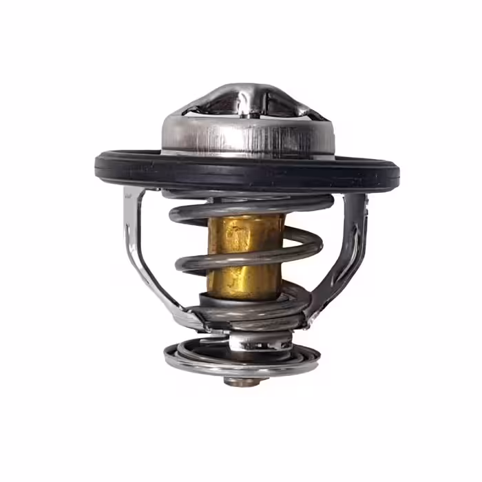 ترموستات کیا کارنز