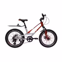 دوچرخه سایز 20 کاپریولو مدل کلارک CAPRIOLO CLARK دیسکی 7دنده