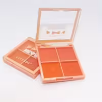 رژ گونه 4 رنگ برند آنی لیدی ANYLADY