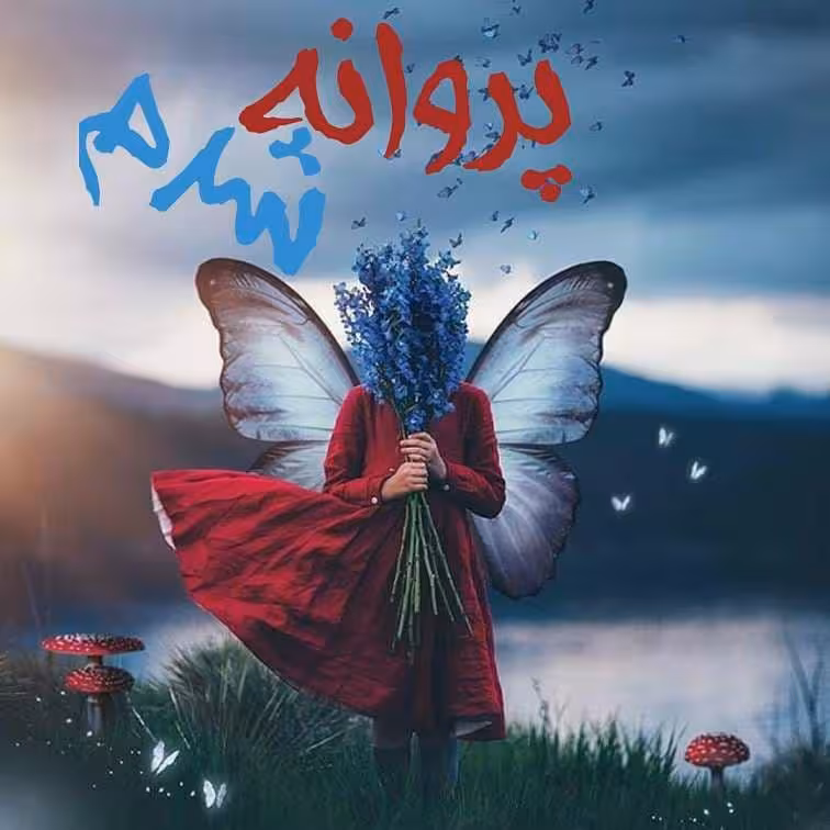 رمان پروانه شدم pdf