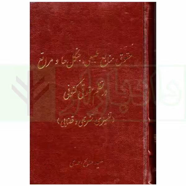 حقوق منابع طبیعی، جنگل ها و مراتع در نظم حقوقی کنونی (تفسیری، تشریحی و انتقادی) | صالح احمدی