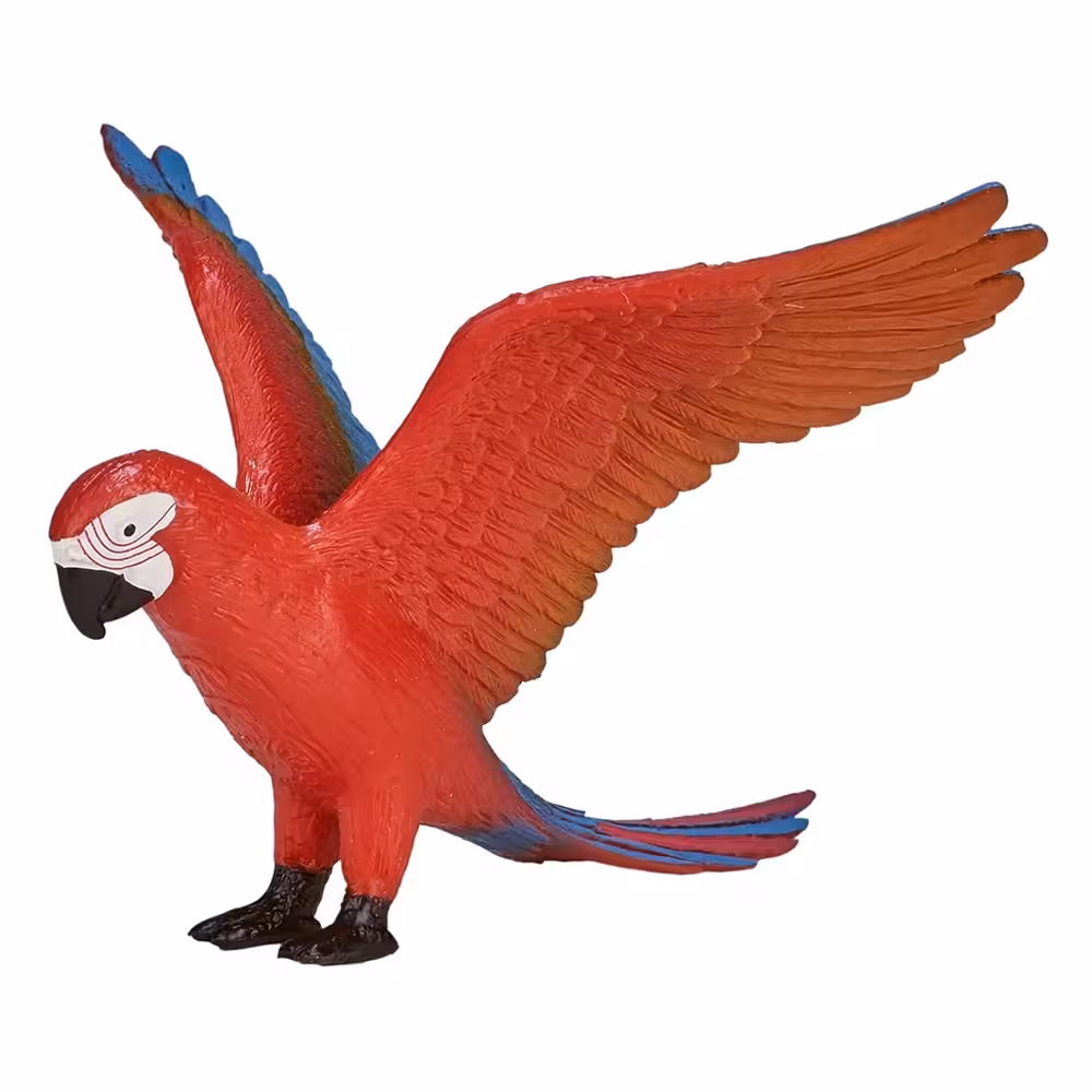طوطی 387263 Mojo