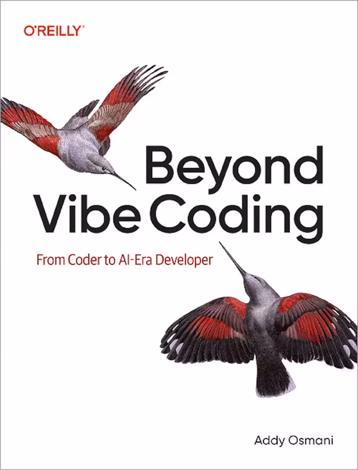 کتاب Beyond Vibe Coding