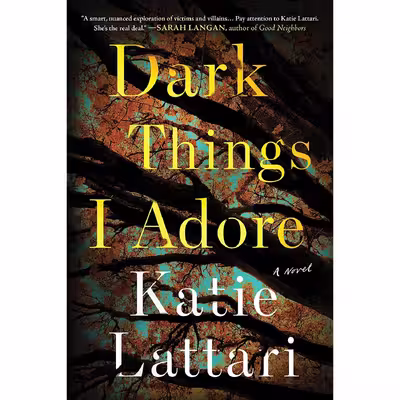 کتاب Dark Things I Adore: A Novel- 2022 اثر Katie Lattari انتشارات Sourcebooks Landmark