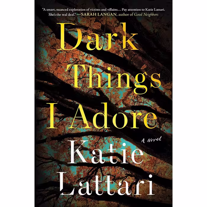 کتاب Dark Things I Adore: A Novel- 2022 اثر Katie Lattari انتشارات Sourcebooks Landmark